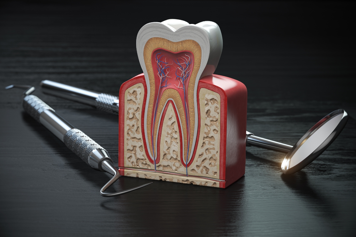 How Long Can A Root Canal Last? Tips To Help It Last Longer